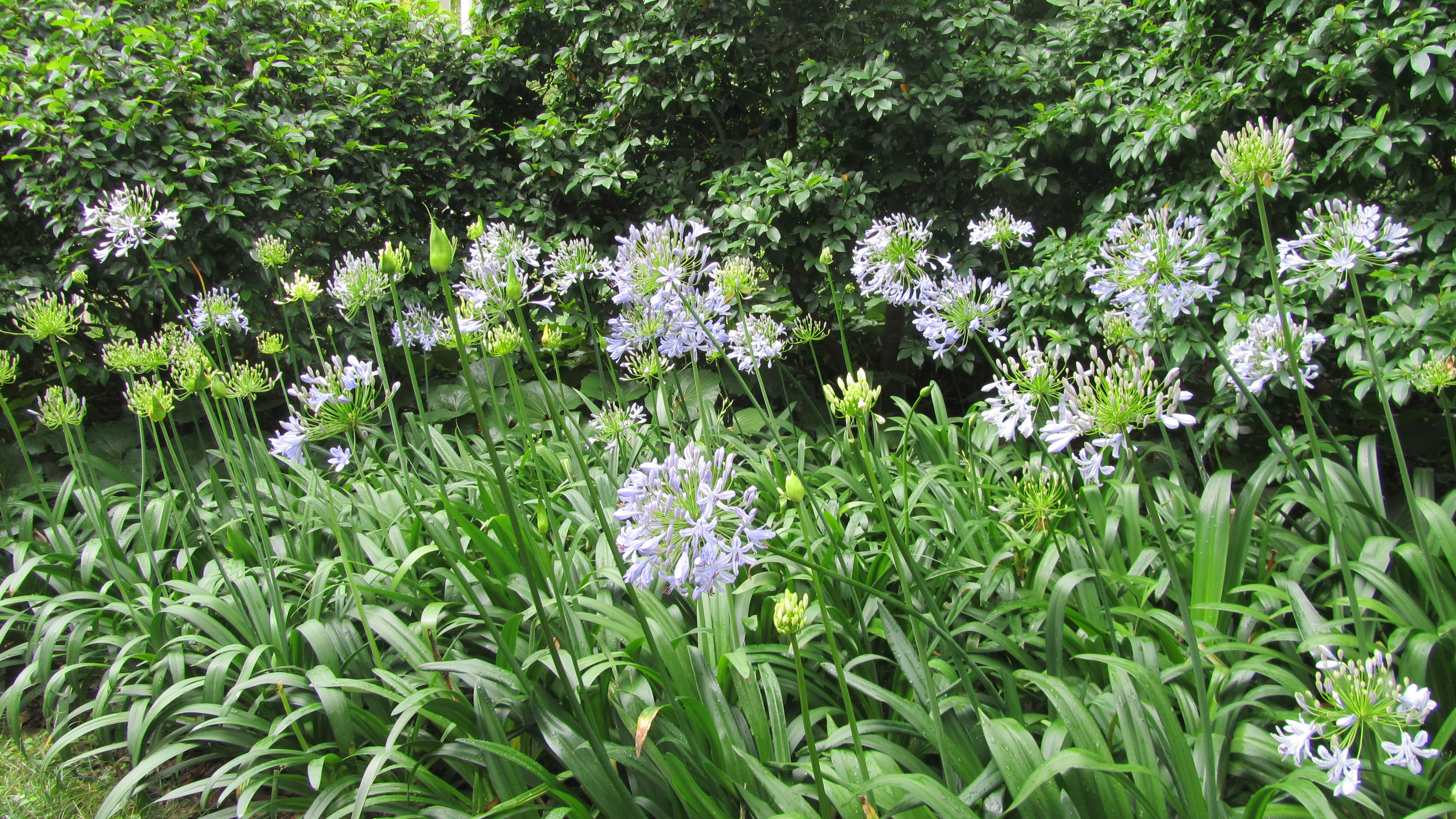 292548.jpg 292548.jpg