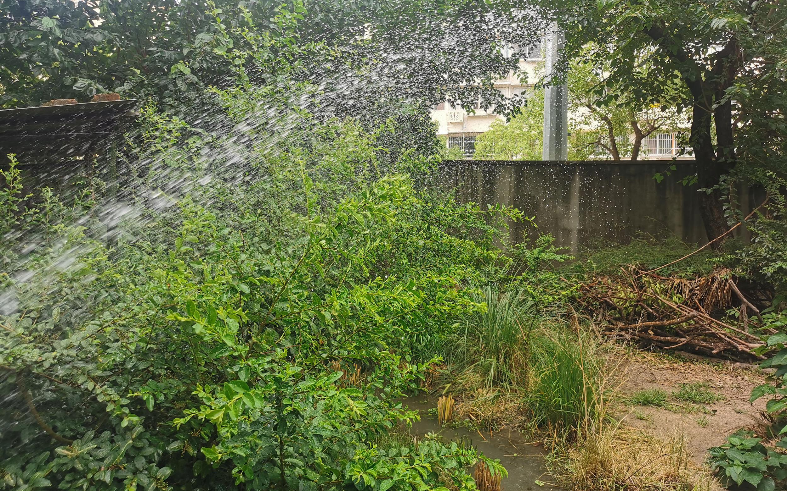 ��ֳ���콨��01 (3).jpg