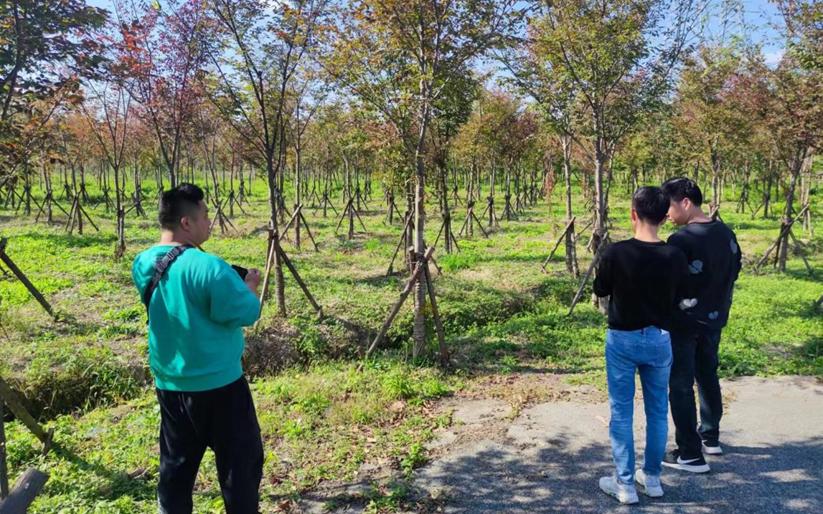 ��벢�� ����Ӫ����ʵ���˲鹤������4.jpg