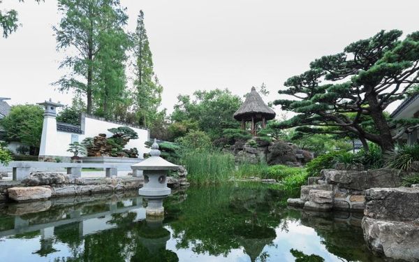 盆景园 (1).jpg 盆景园 (1).jpg