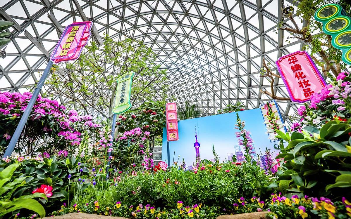 �����Ϸ��� �޺���ơ�����չʾ��2��.jpg