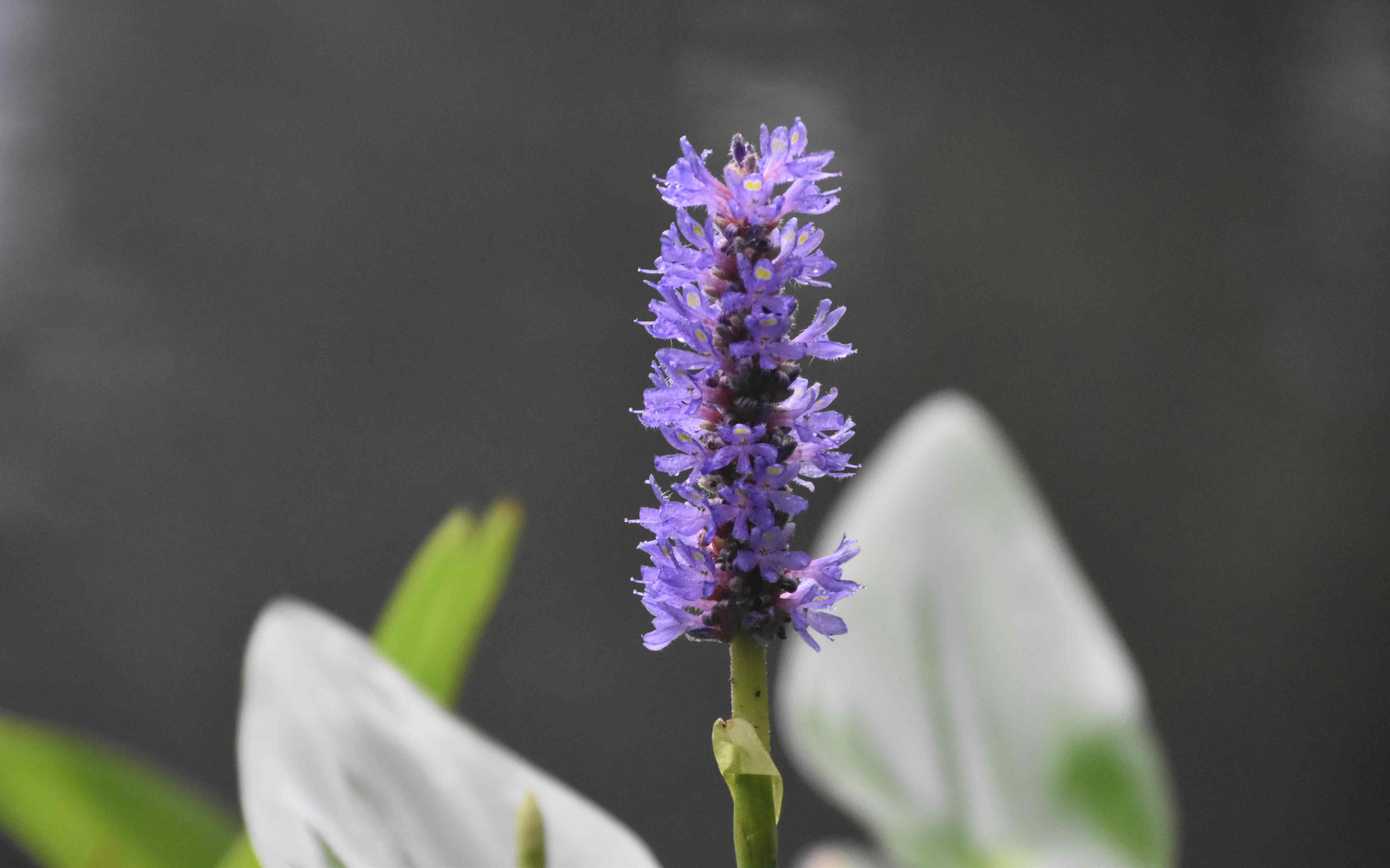 微信图片_202106161432227.jpg 微信图片_202106161432227.jpg