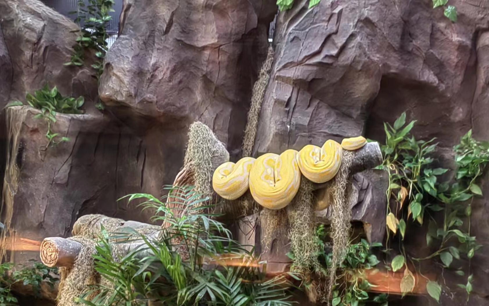 ������ �¾�1.jpg