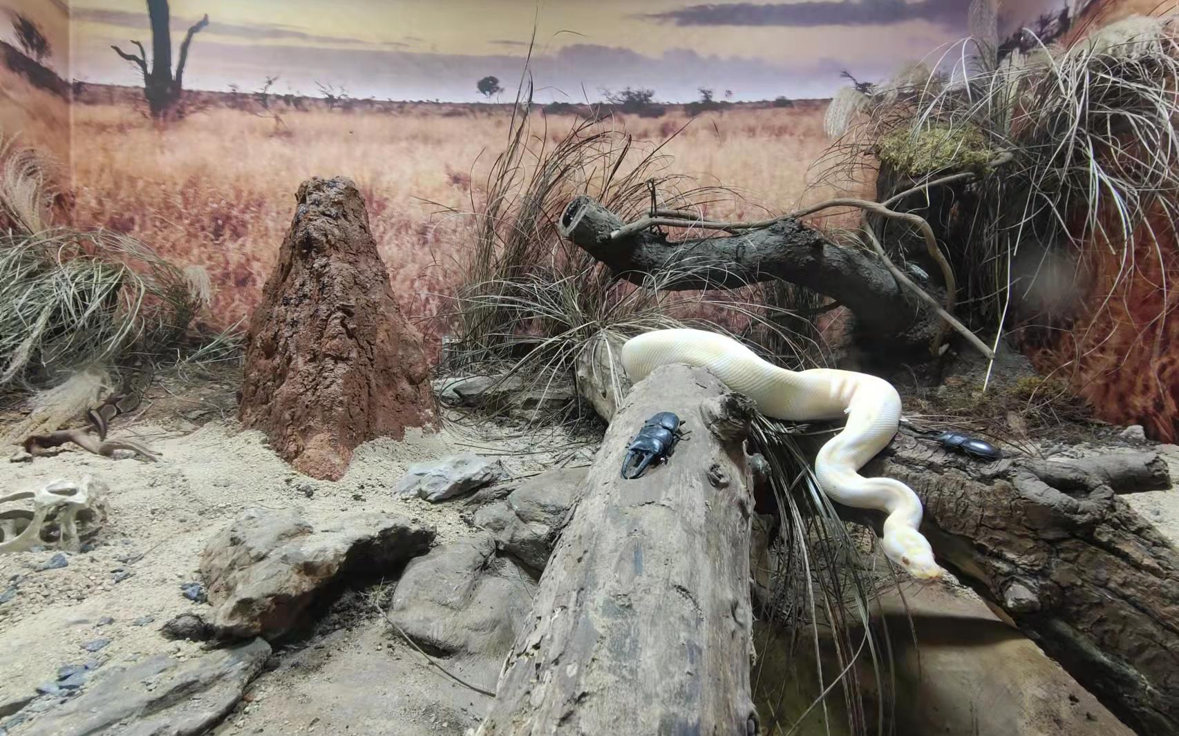 ���Ƹ� (2).jpg