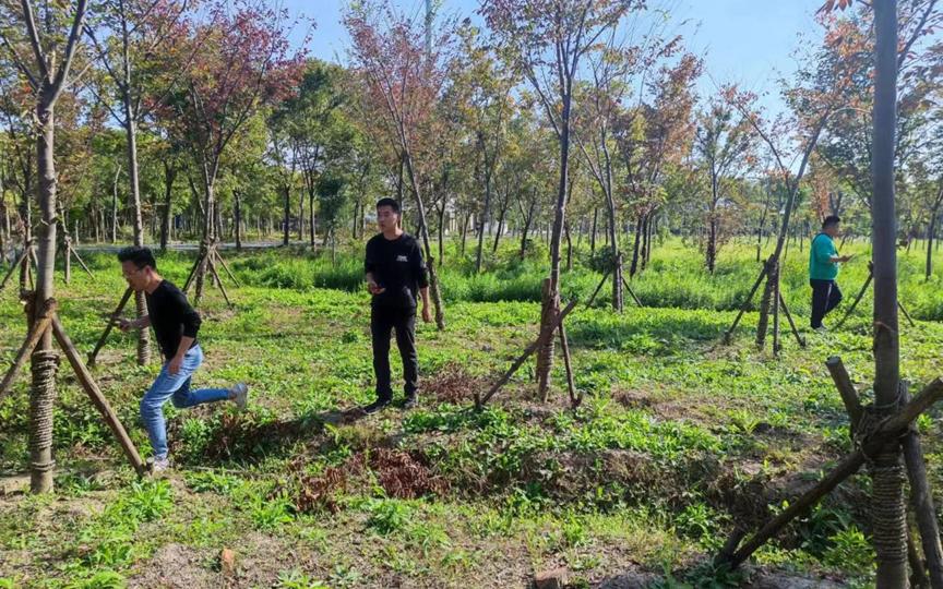 ��벢�� ����Ӫ����ʵ���˲鹤������5.jpg