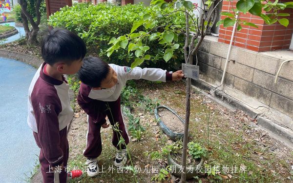 上海市松江区上外西外幼儿园.jpg 上海市松江区上外西外幼儿园.jpg