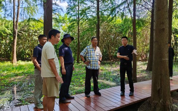 金山区朱泾镇秀州村生态修复项目顺利通过竣工验收2.jpg 金山区朱泾镇秀州村生态修复项目顺利通过竣工验收2.jpg