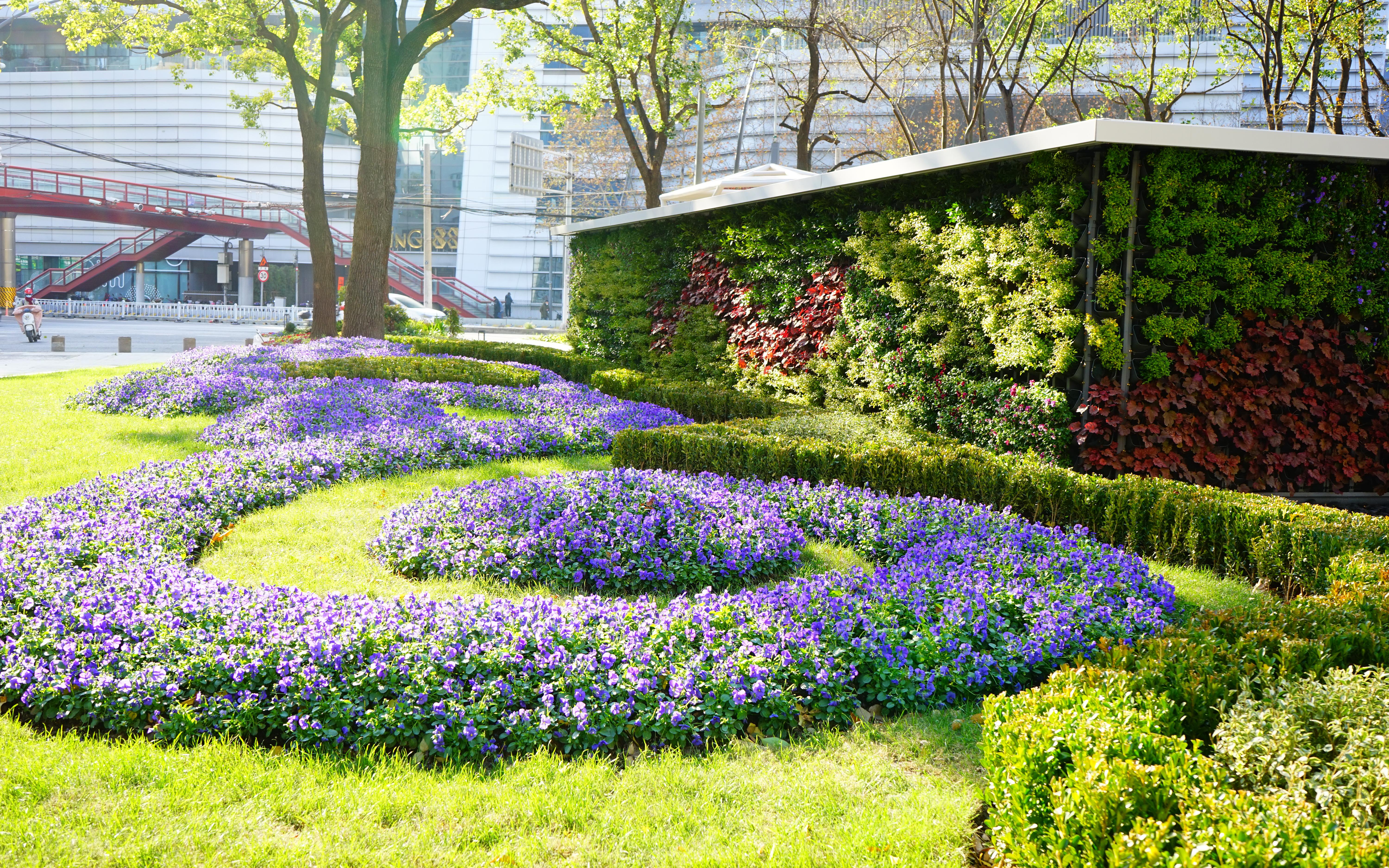 花坛.jpg 花坛.jpg