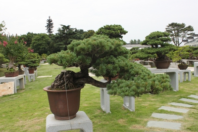 烘云托月.jpg 烘云托月.jpg