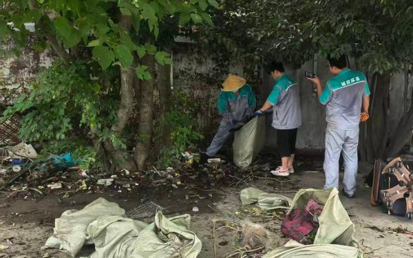快速响应 长效管护 上海市市...