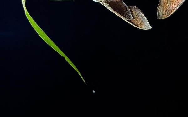 微信图片_20250828141016.jpg 微信图片_20250828141016.jpg