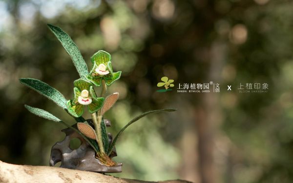 封面2.jpg 封面2.jpg