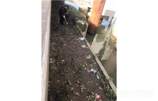 17 (1).jpg 17 (1).jpg