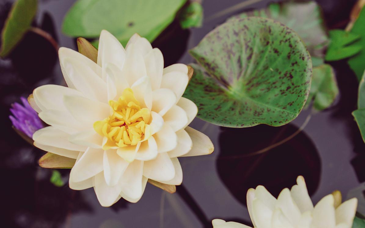 ��ɫ���� 2.jpg