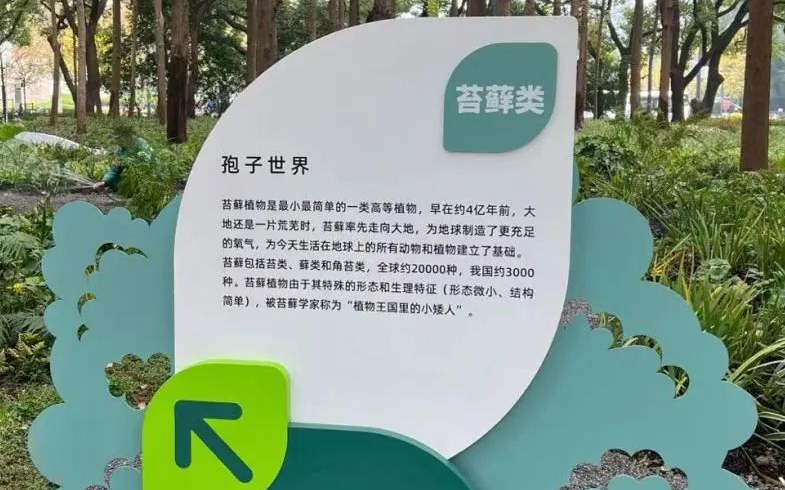 黃浦區森鄰花園向公眾開放