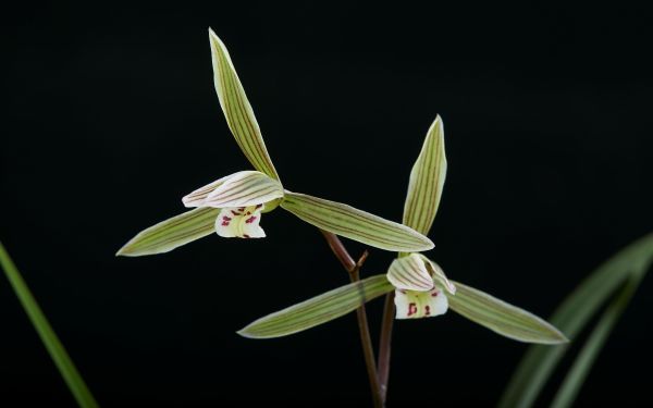 064A7745_副本.jpg 064A7745_副本.jpg