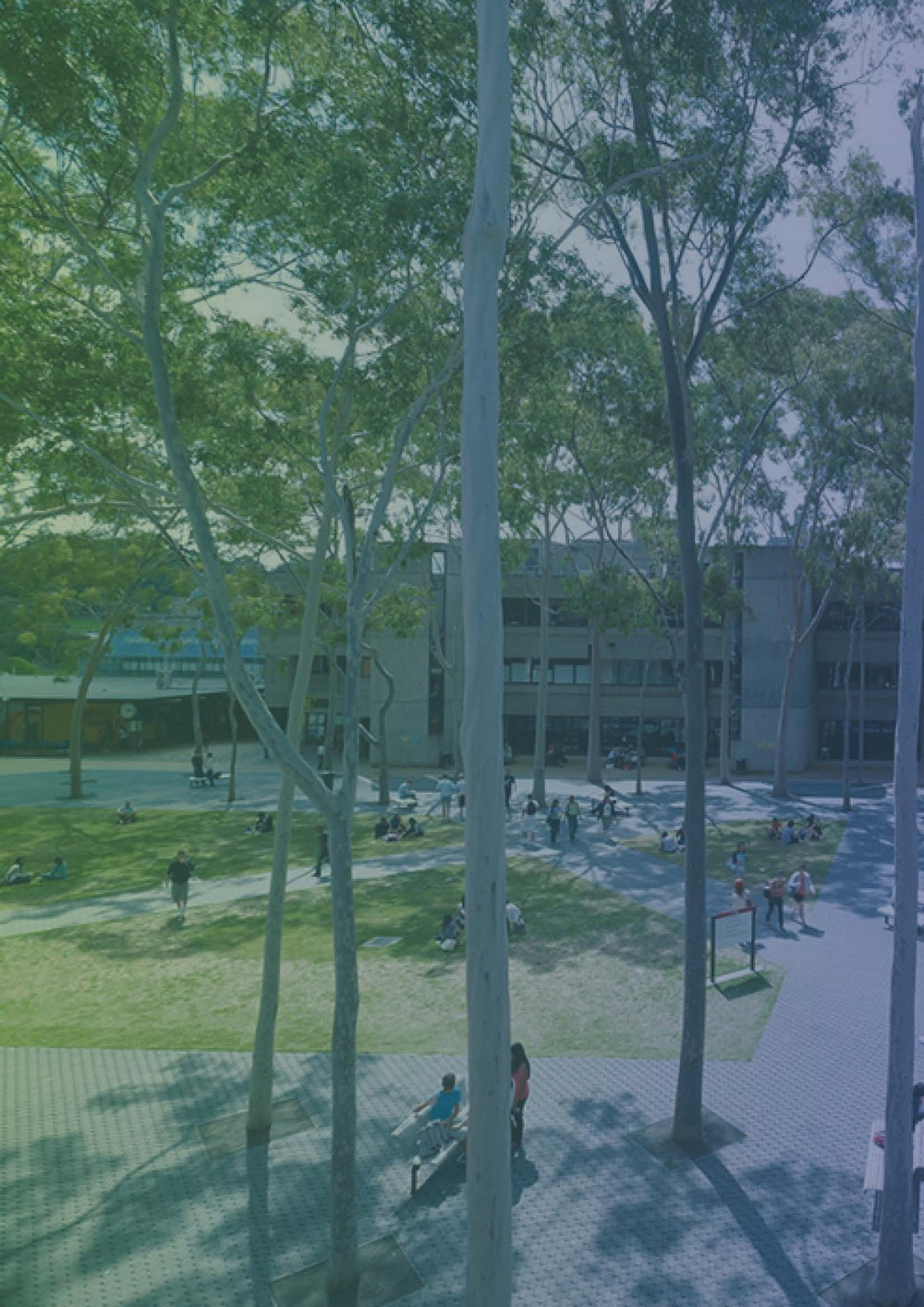 附件2_20221122上海市公园城市导则_页面_079.jpg