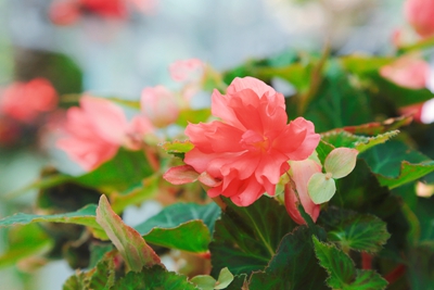 8C9A5328_副本.jpg