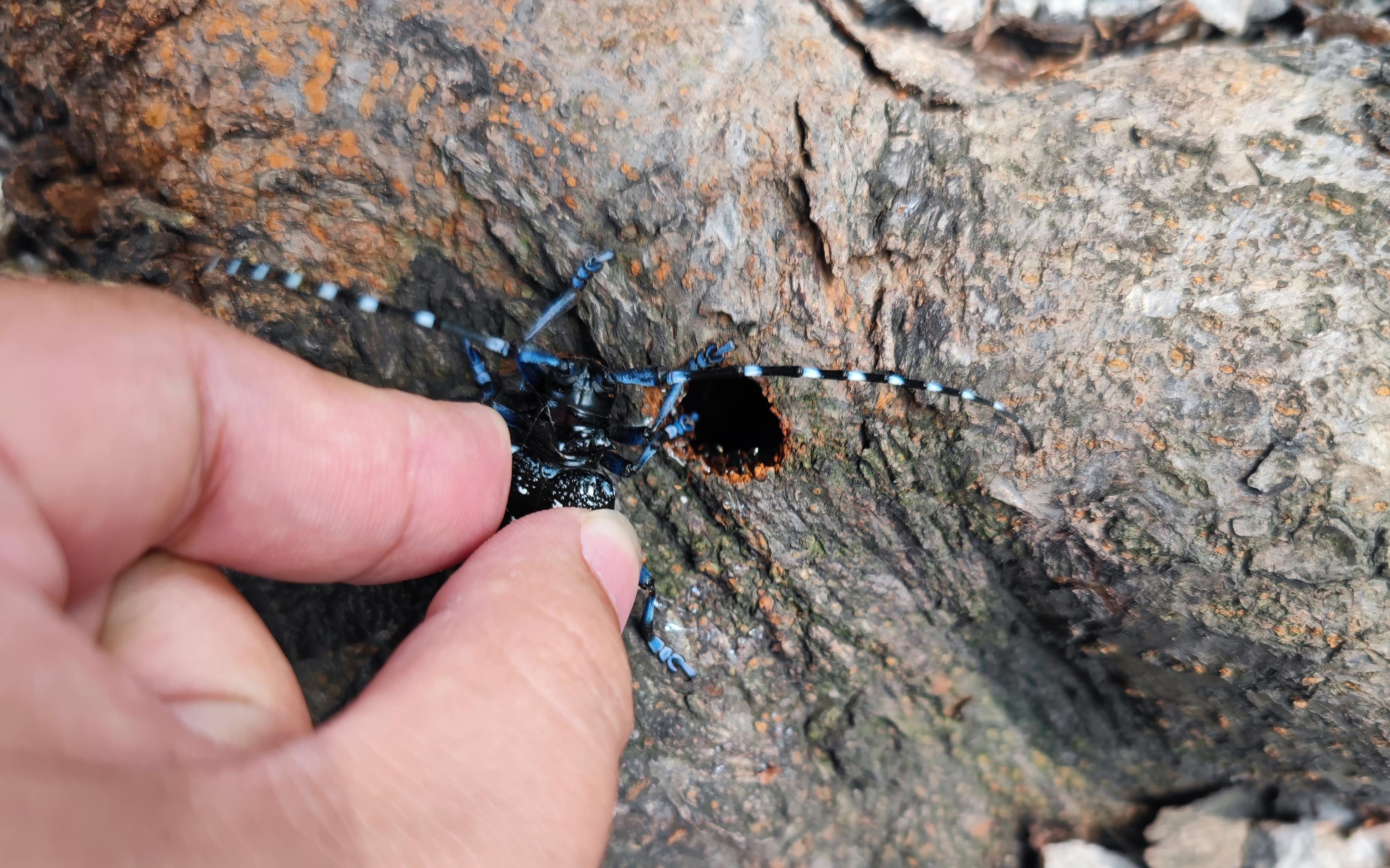 微信图片_20230530140120.jpg 微信图片_20230530140120.jpg