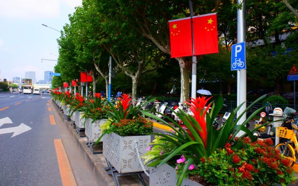 05.湖滨路花箱.jpg