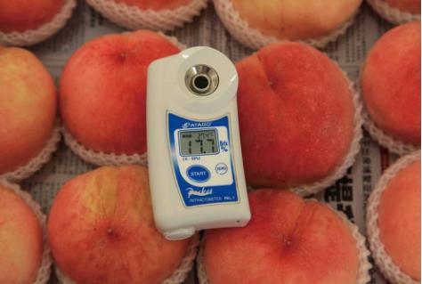 水蜜桃可溶性固形物高达 17.7%.jpg