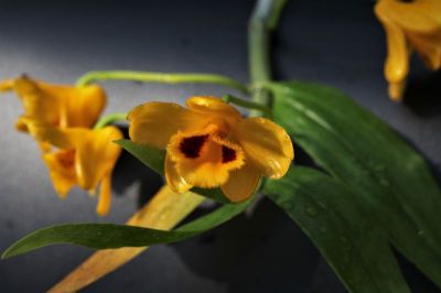 IMG_7152.jpg