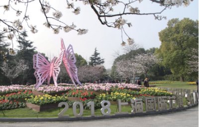 上海植物园.jpg