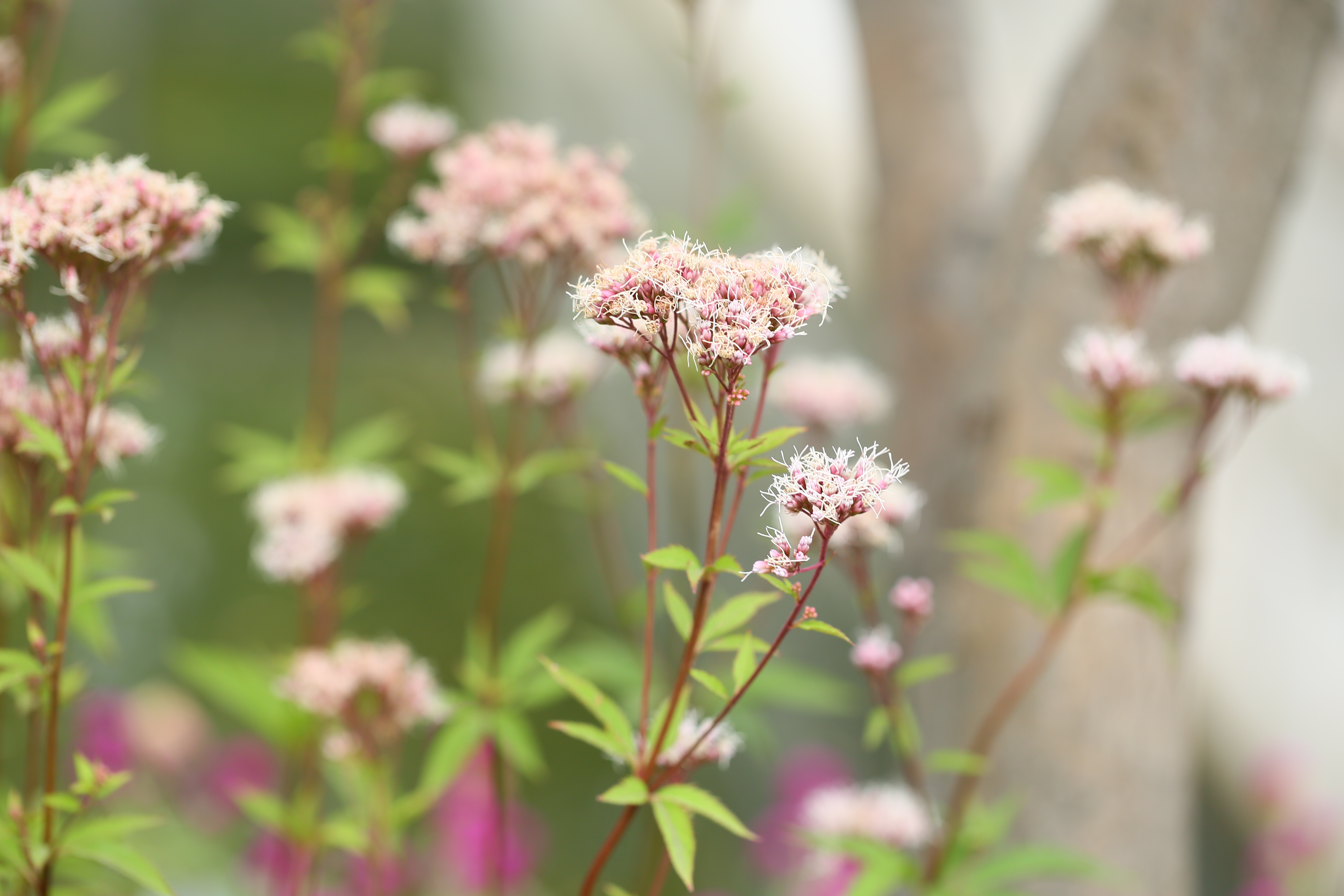 微信图片_20221117154301.jpg 微信图片_20221117154301.jpg