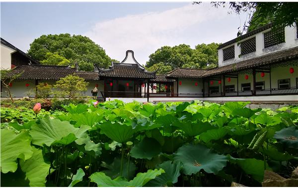 上海醉白池公園信息032--江南名園韻雅意 