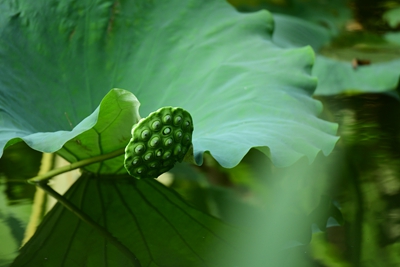 DSC_3775.jpg DSC_3775.jpg