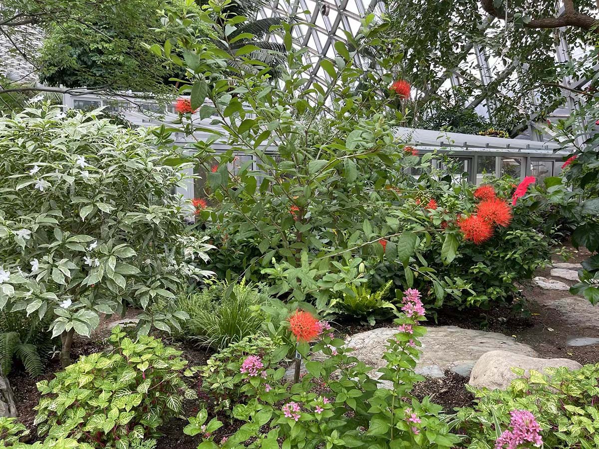 风车子 (3).jpg 风车子 (3).jpg