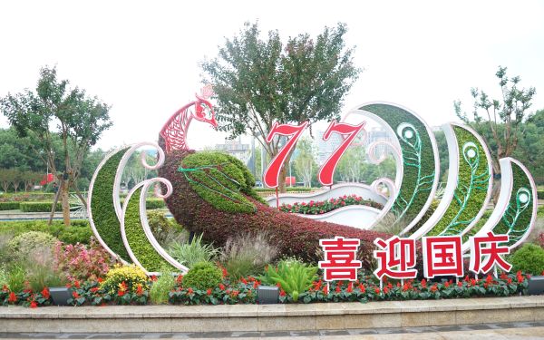 08.奉贤区明珠广场.JPG