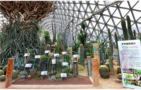 辰山植物园多肉植物展 (1).jpg