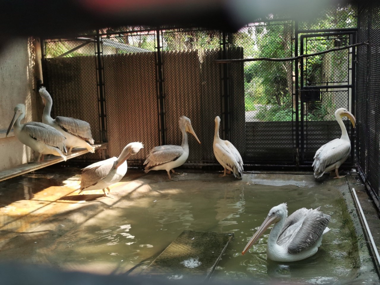 微信图片_20210930134542.jpg