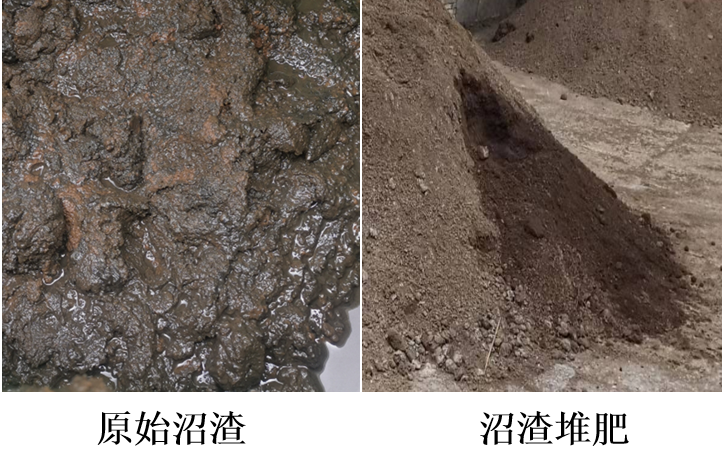 上海市园林科学规划研究院低碳富氮高值堆肥技术助力湿垃圾沼渣资源化