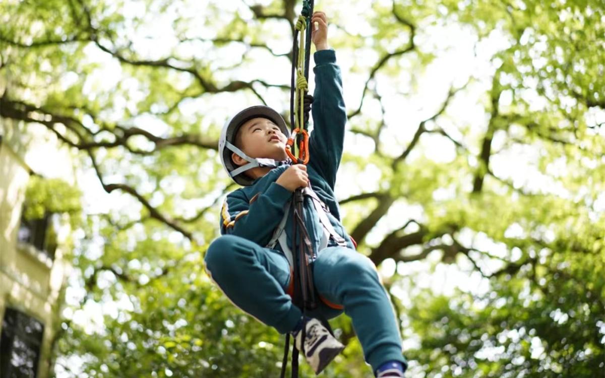 攀树动作及过程 (1).jpg