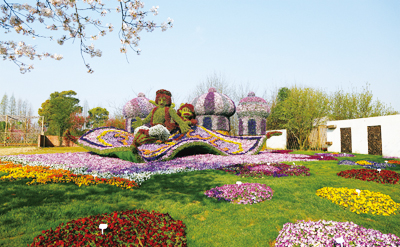 《阿拉丁花毯》集中展示了由园艺公司自主研发的多个新优角堇品种  黄梅林摄.jpg