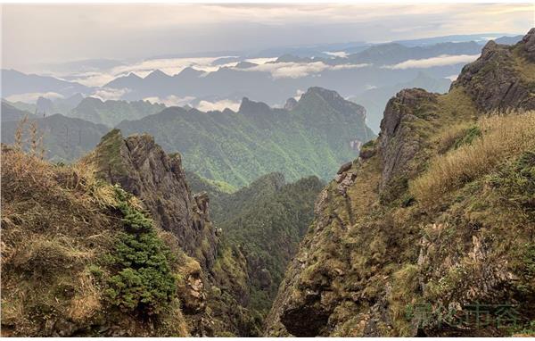 上海飞羽队在第3届“神农架国家公园杯”观鸟赛中荣获二等奖3.jpg 上海飞羽队在第3届“神农架国家公园杯”观鸟赛中荣获二等奖3.jpg