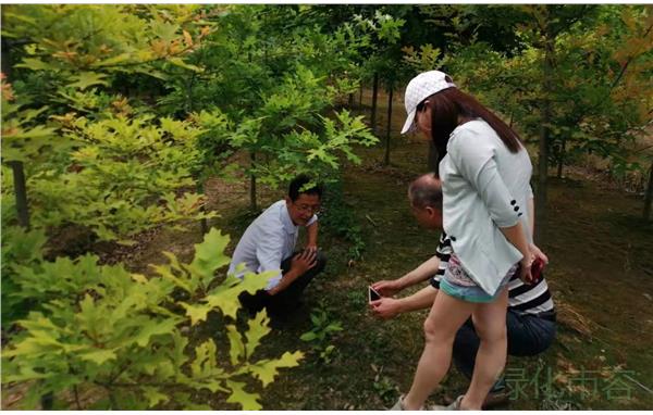 牢固树立宗旨意识 用心为企业办实事3.jpg