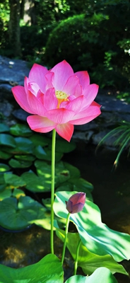 803b5e3fb9d546317bf2b0244549cca.jpg 803b5e3fb9d546317bf2b0244549cca.jpg