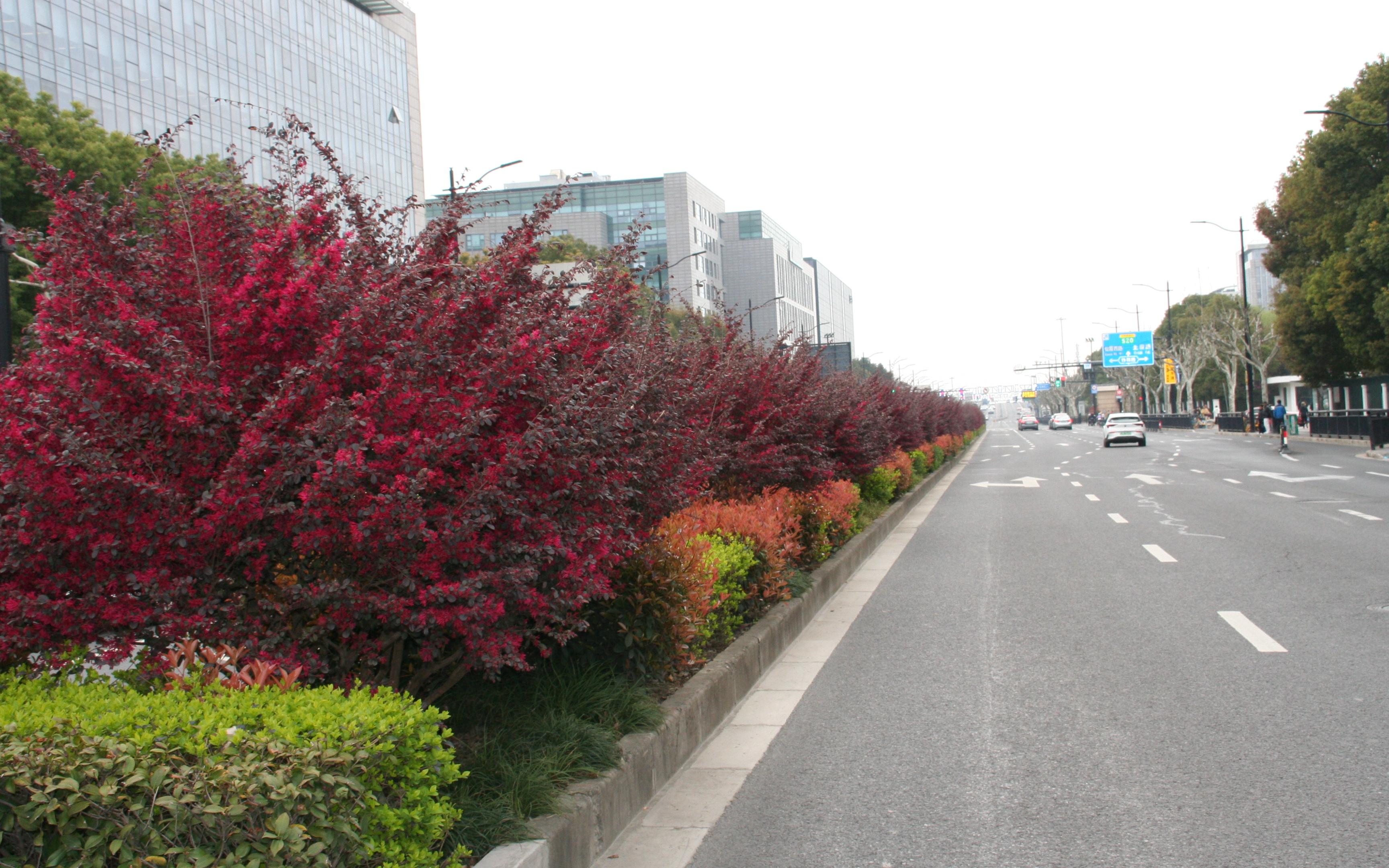 微信图片_20240327112056.jpg 微信图片_20240327112056.jpg