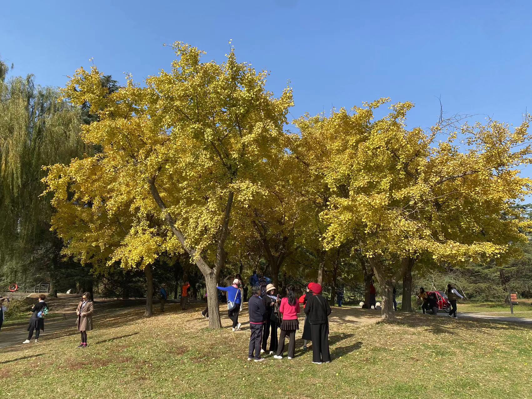 微信图片_20231129140300.jpg