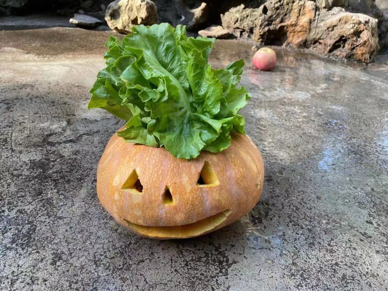 8fd3dee4de24383f707ca2ade79dd99.jpg 8fd3dee4de24383f707ca2ade79dd99.jpg