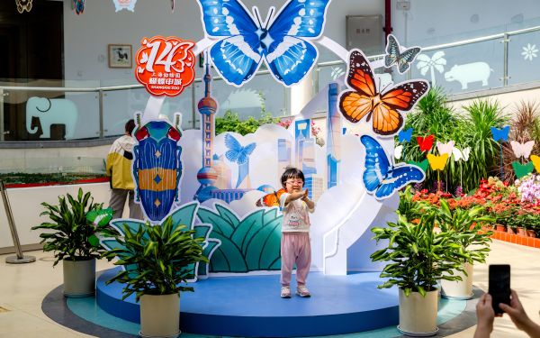 20261007蝴蝶展科教馆展示-195.jpg