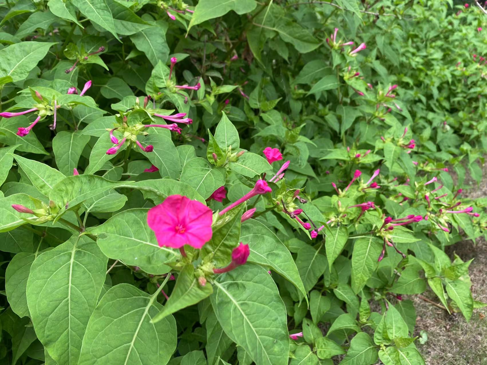 微信图片_20230719155516.jpg 微信图片_20230719155516.jpg