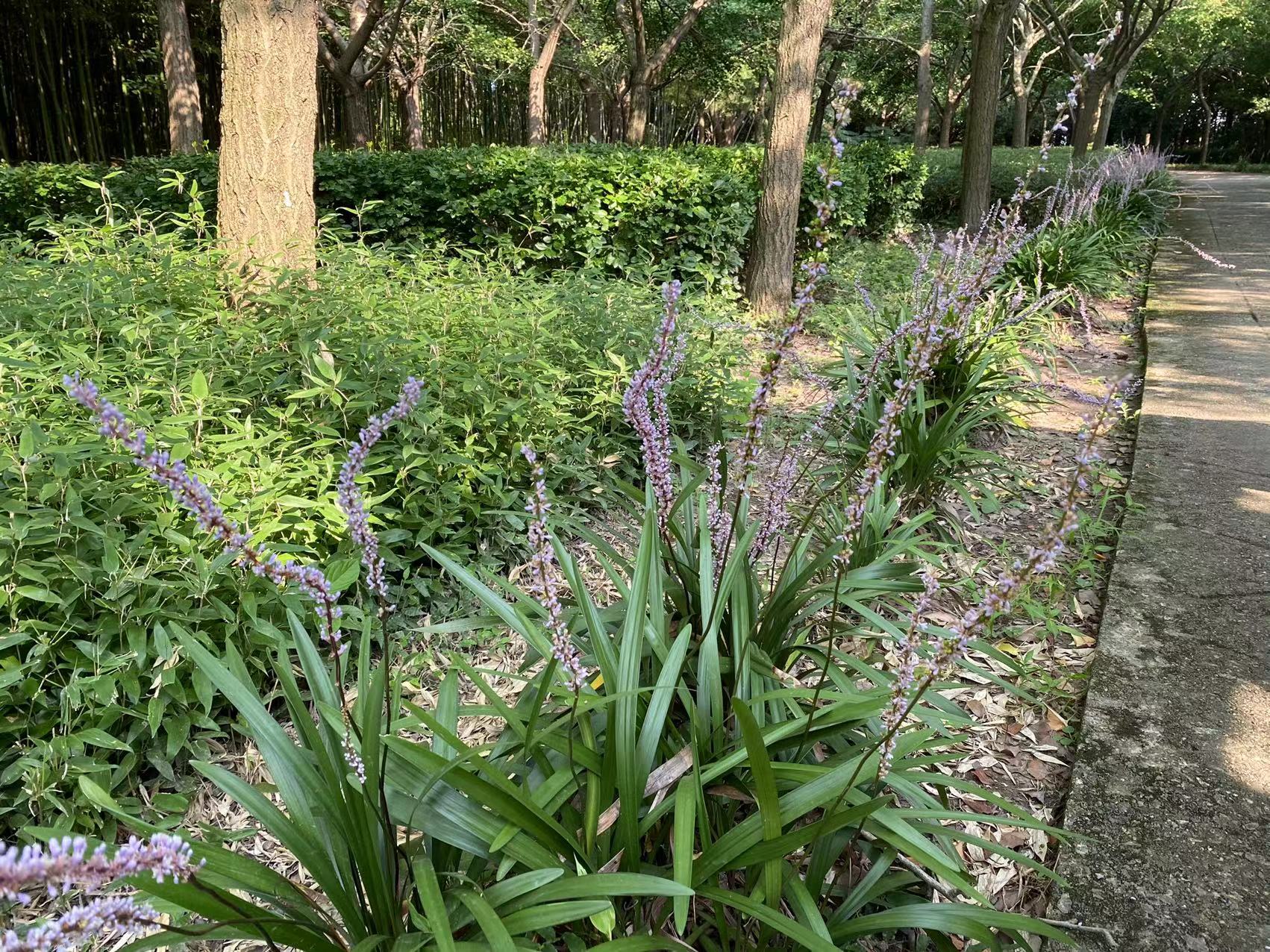 微信图片_20220805113819.jpg 微信图片_20220805113819.jpg