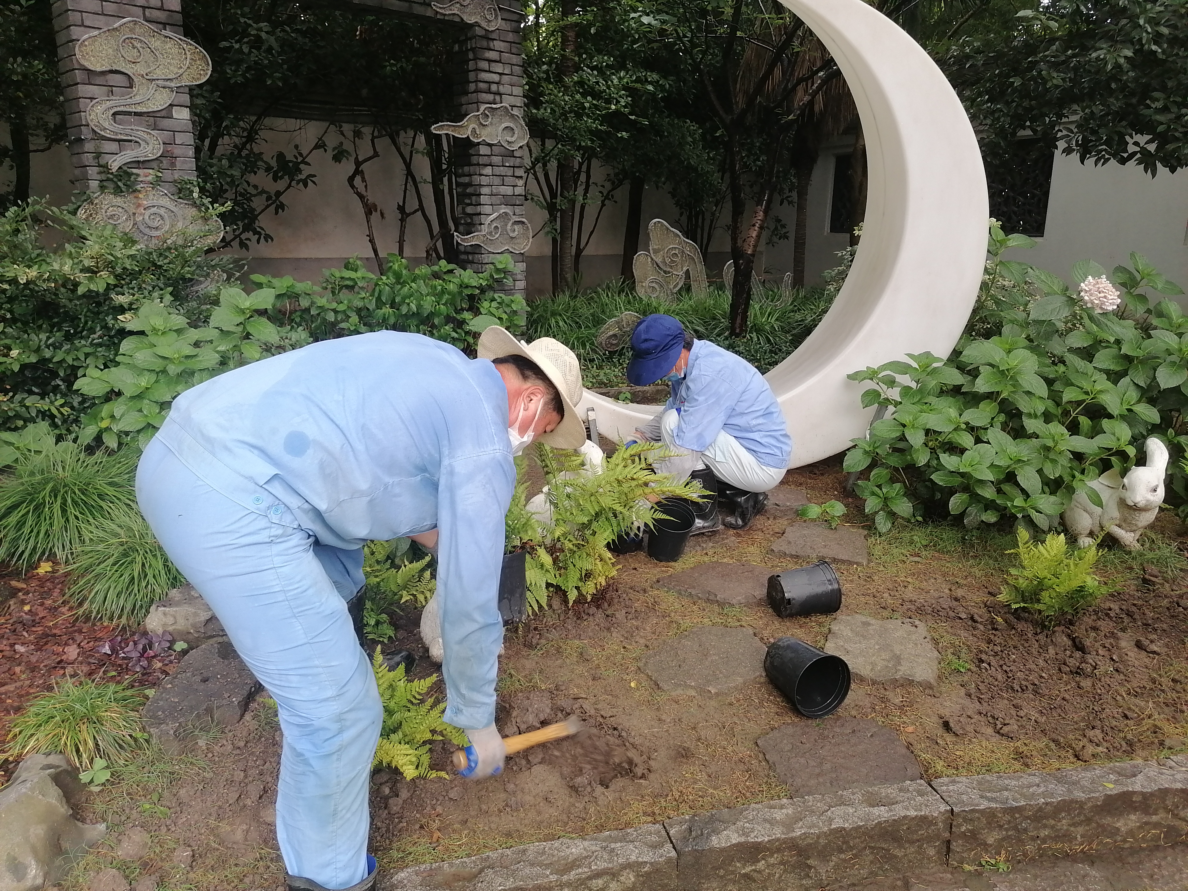 暑你最美高温下的园丁们