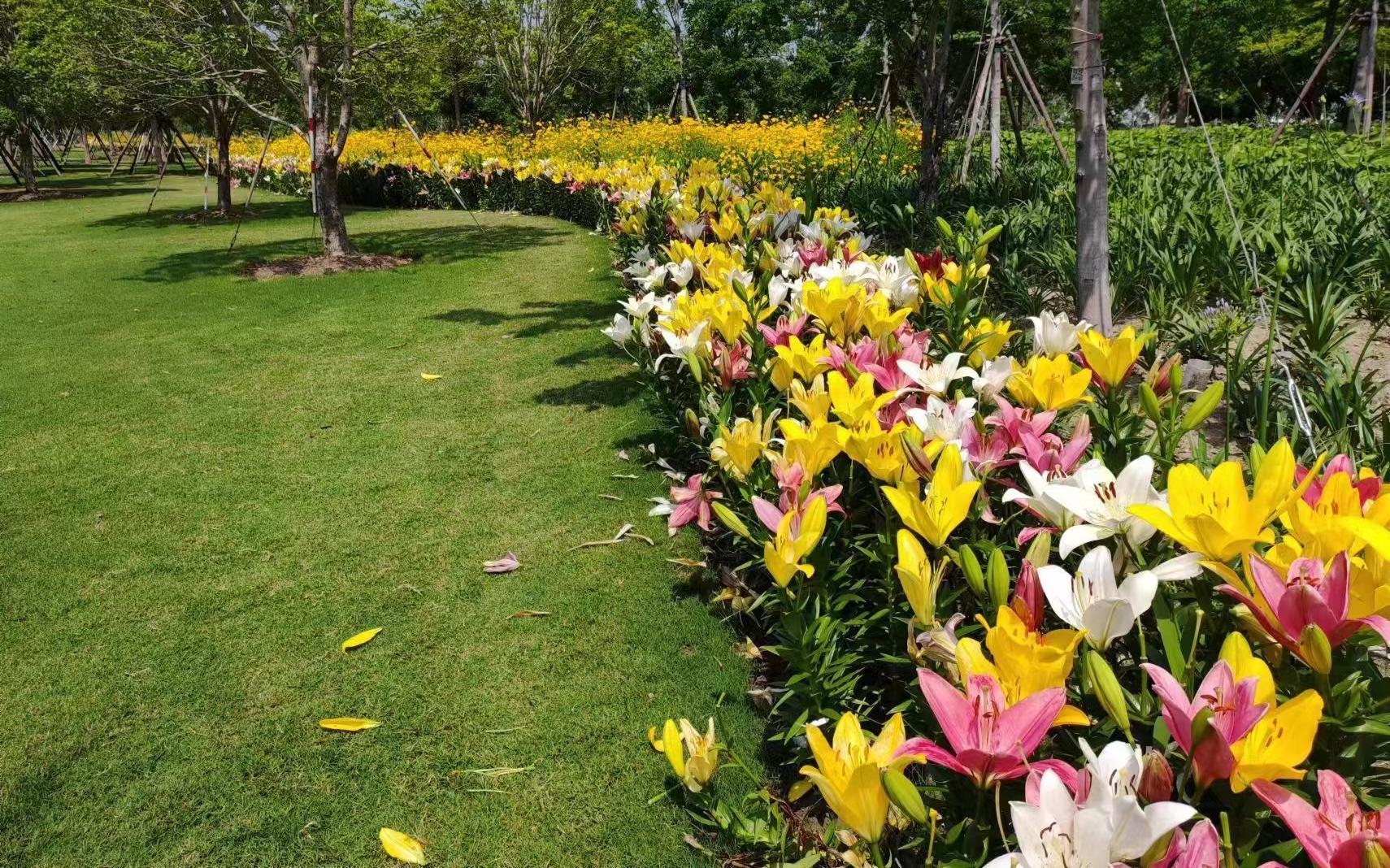 654d50f31279f792bbc7fa79e8f22e0.jpg 654d50f31279f792bbc7fa79e8f22e0.jpg