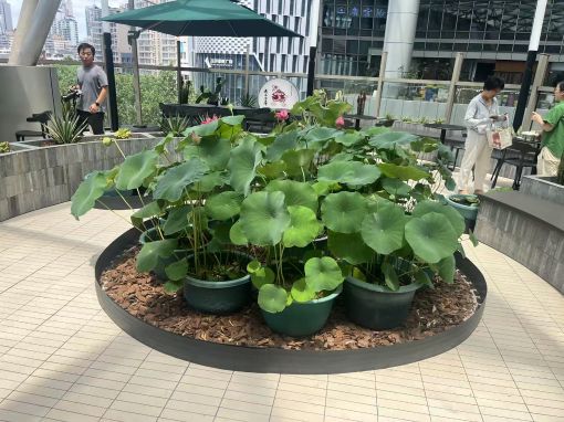 微信图片_20250801162926.jpg 微信图片_20250801162926.jpg