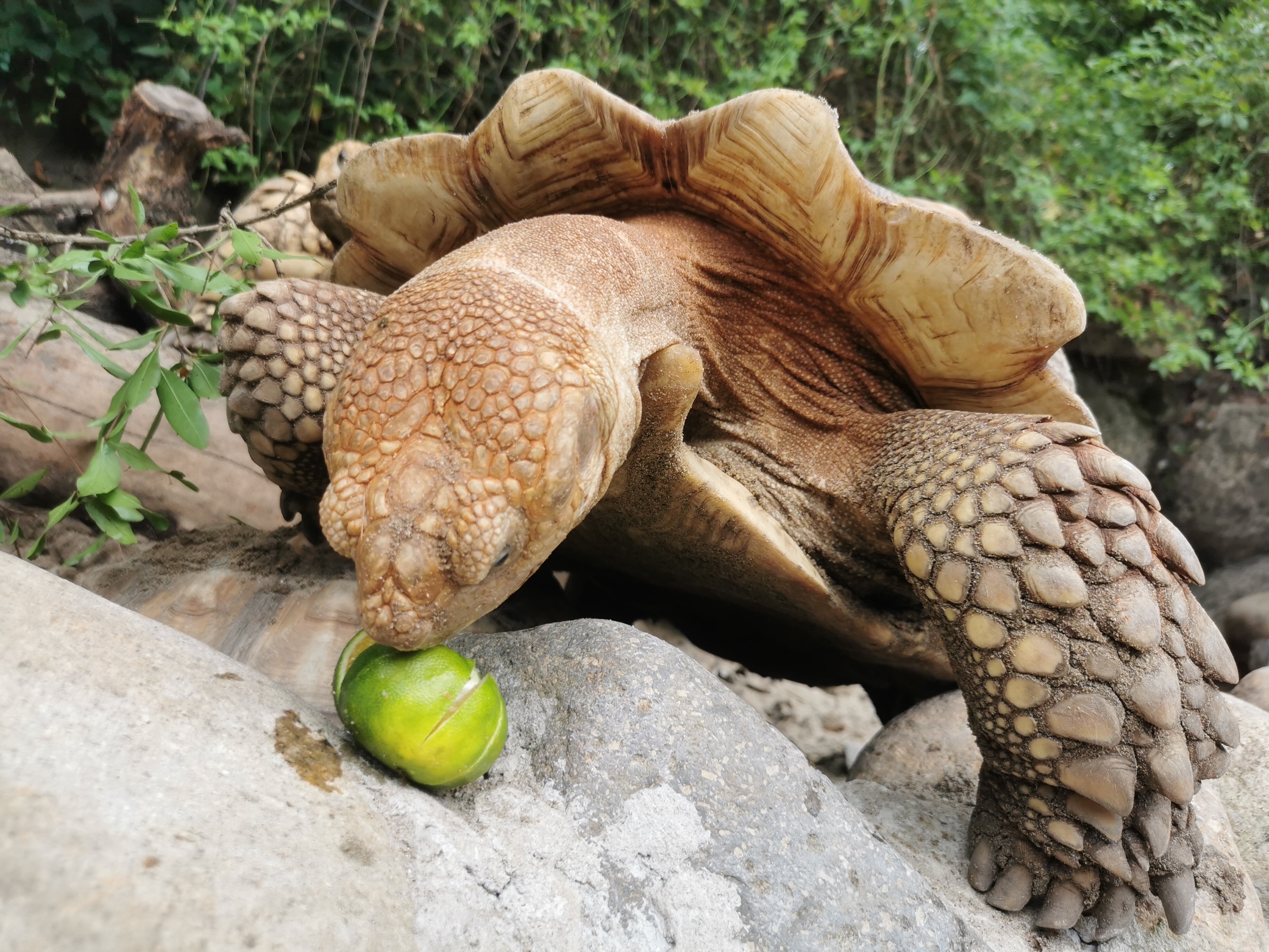 两爬馆 朱建青 橘 (4) 两爬馆 朱建青 橘 (4).jpg